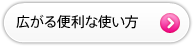 ���̃y�[�W�FWebMoney�̍L����֗��Ȏg����
