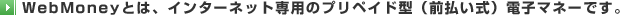WebMoney�Ƃ́A�C���^�[�l�b�g��p�̃v���y�C�h�^�i�O�������j�d�q�}�l�[�ł��B