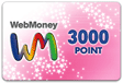 3,000POINT