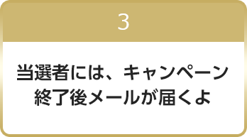 3 当選者には、キャンペーン終了後メールが届くよ