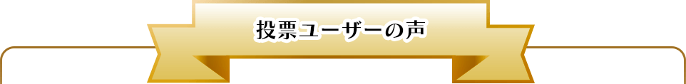 投票ユーザーの声