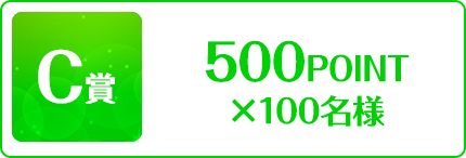 C賞 500POINT x100名様