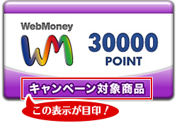 WebMoney30,000POINT券面の「キャンペーン対象商品」が目印！