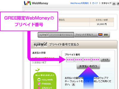 「お支払いを行う」をクリック。