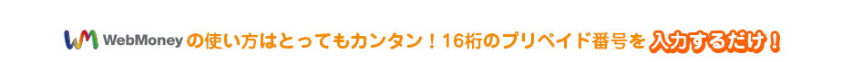 WebMoneyの使い方はとってもカンタン！16桁のプリペイド番号を入力するだけ！