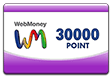 30000point