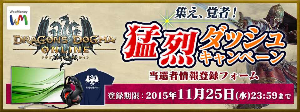 ドラゴンズドグマ オンライン　猛烈ダッシュキャンペーン 当選者情報入力フォーム
