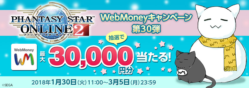 『ファンタシースターオンライン２』WebMoneyキャンペーン第30弾