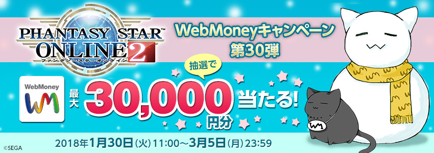 『ファンタシースターオンライン２』WebMoneyキャンペーン第30弾