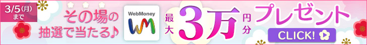 その場の抽選で当たる♪WebMoney最大3万円分プレゼントキャンペーン