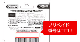 応募フォームにプリペイド番号を登録！