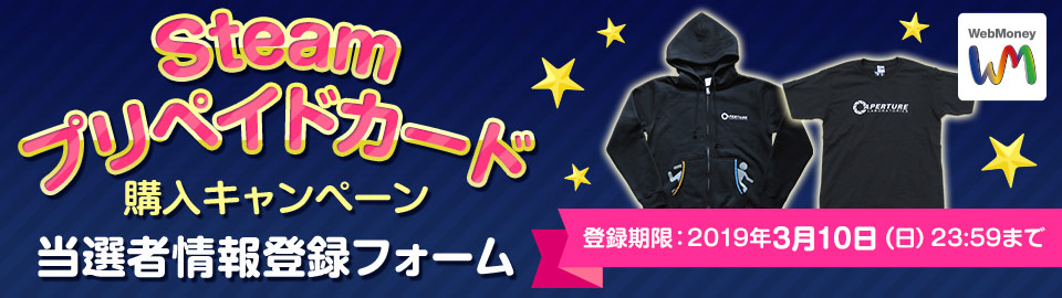 Steamウィンターセール記念　Steamプリペイドカード購入キャンペーン 当選者情報登録フォーム