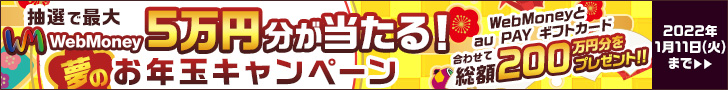抽選で最大WebMoney5万円分が当たる！夢のお年玉キャンペーン